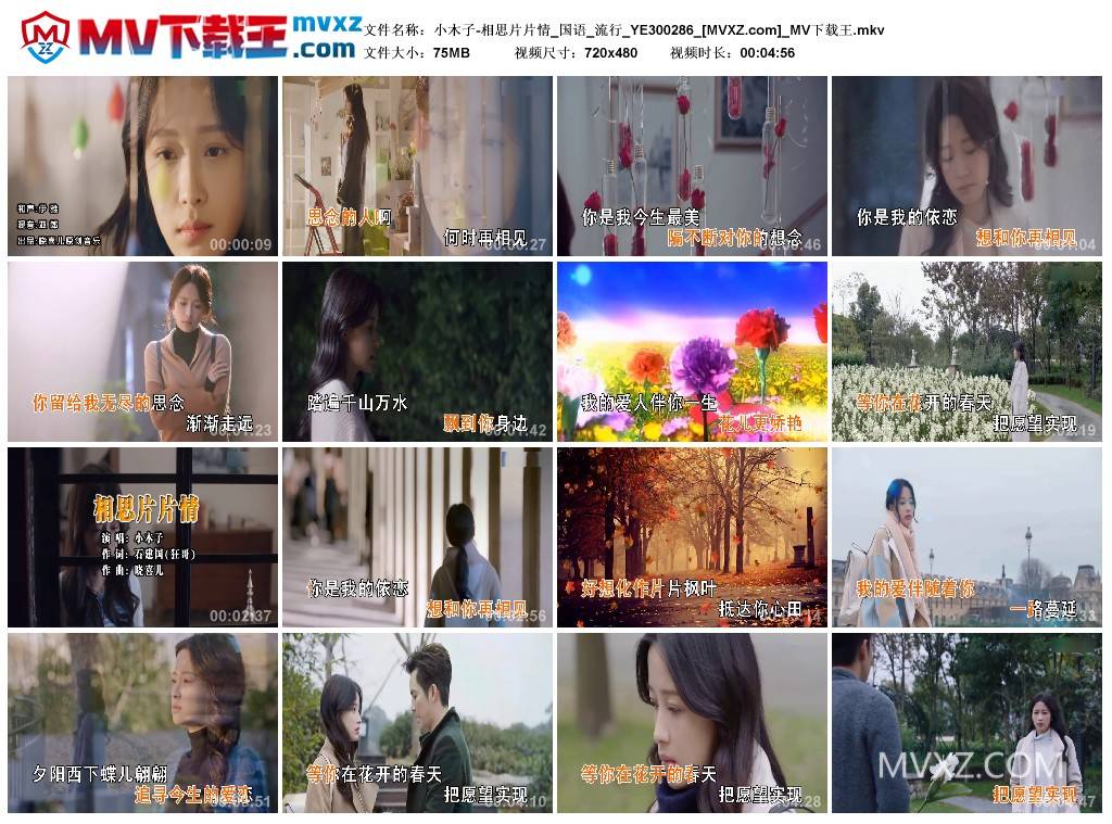 小木子-相思片片情_国语_流行_YE300286